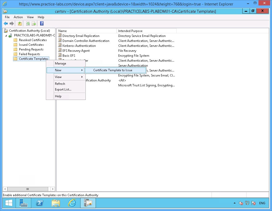 Practice Labs screenshot.
